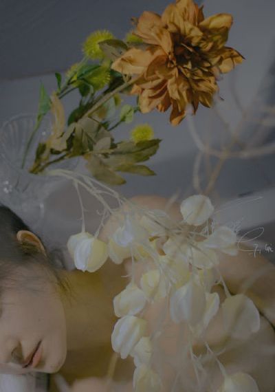 《女巫》在线观看完整版_HD电影完整版在线观看